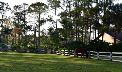Pasture side of house